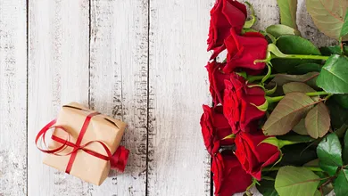 Valentinsdag tilbud: Giv en GO DREAM-oplevelse i gave