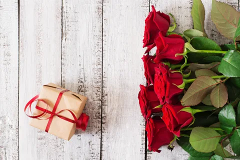 Valentinsdag tilbud: Giv en GO DREAM-oplevelse i gave
