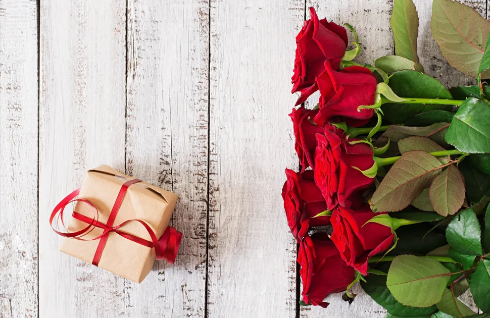 Valentinsdag tilbud: Giv en GO DREAM-oplevelse i gave